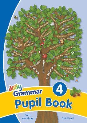 bokomslag Grammar 4 Pupil Book