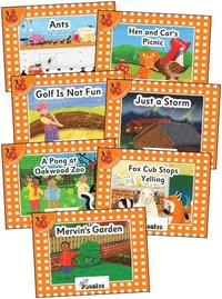 bokomslag Jolly Phonics Orange Level Readers Complete Set: In Print Letters (American English Edition)