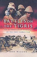 bokomslag Battles on the Tigris: The Mesopotamian Campaign of the First World War