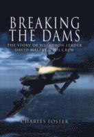 bokomslag Breaking the Dams