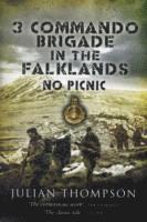 bokomslag 3 Commando Brigade in the Falklands: No Picnic