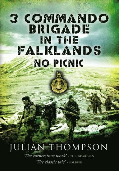 bokomslag 3 Commando Brigade in the Falklands: No Picnic