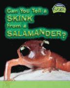 bokomslag Can You Tell A Skink From A Salamander?