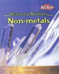 bokomslag Raintree Freestyle: Material Matters - Non-Metals