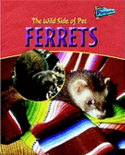 bokomslag Ferrets