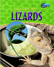 Lizards 1