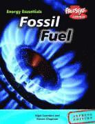 Fossil Fuels 1