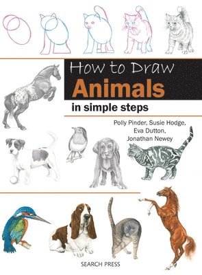 bokomslag How to Draw: Animals