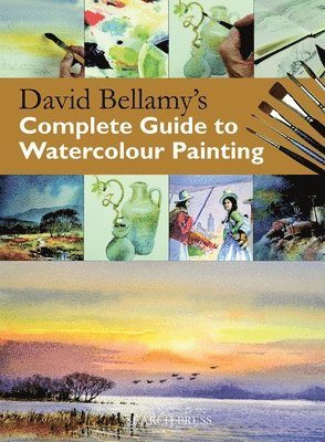 David Bellamy's Complete Guide to Watercolour Painting 1