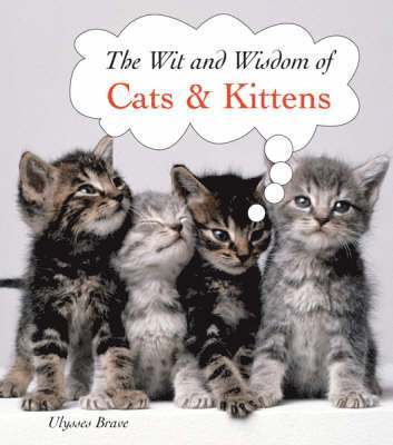 Ulysses Brave - Cats and Kittens, Inbunden