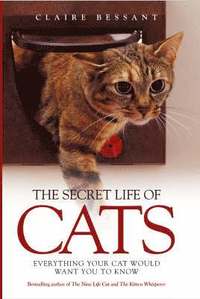 bokomslag The Secret Life of Cats