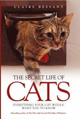 bokomslag The Secret Life of Cats