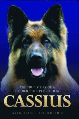 Cassius 1