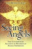 bokomslag Seeing Angels