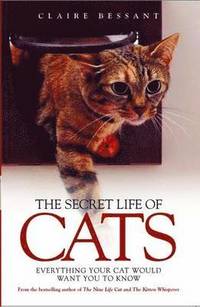 bokomslag The Secret Life of Cats