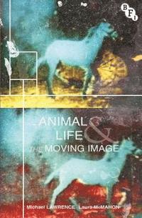 bokomslag Animal Life and the Moving Image