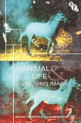bokomslag Animal Life and the Moving Image