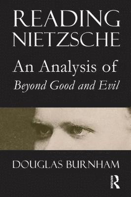 bokomslag Reading Nietzsche