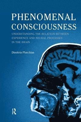 Phenomenal Consciousness 1