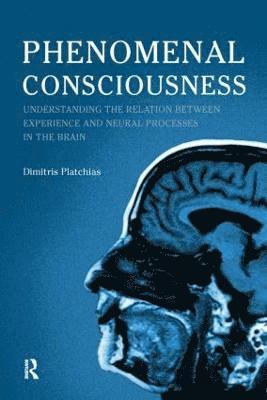 Phenomenal Consciousness 1