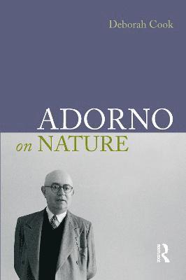 Adorno on Nature 1