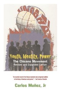 bokomslag Youth, Identity, Power