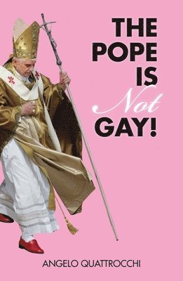 bokomslag The Pope Is Not Gay!