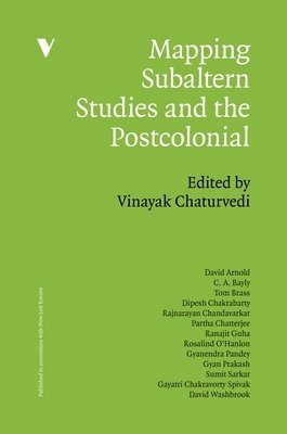 bokomslag Mapping Subaltern Studies and the Postcolonial