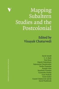 bokomslag Mapping Subaltern Studies and the Postcolonial
