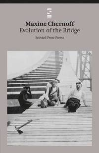 bokomslag Evolution of the Bridge