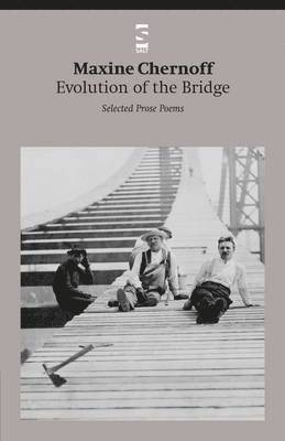 bokomslag Evolution of the Bridge