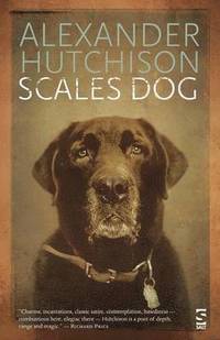 bokomslag Scales Dog