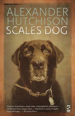 Alexander Hutchison - Hutchison, A: Scales Dog, Häftad