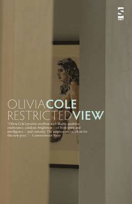 Restricted View 1
