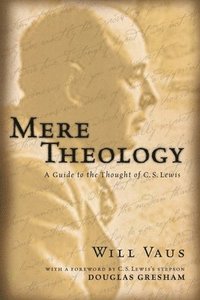 bokomslag Mere theology