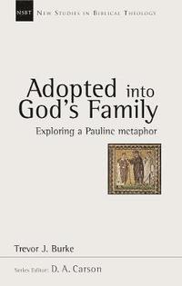 bokomslag Adopted into God's family