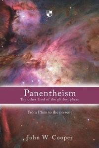 bokomslag Panentheism: The Other God of the Philosophers