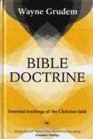 bokomslag Bible Doctrine