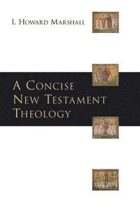 bokomslag A Concise New Testament theology