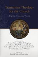 bokomslag Trinitarian Theology for the Church