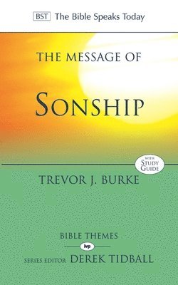 bokomslag The Message of Sonship