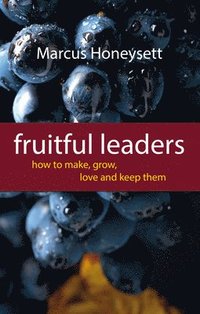 bokomslag Fruitful Leaders