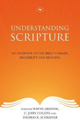 bokomslag Understanding Scripture