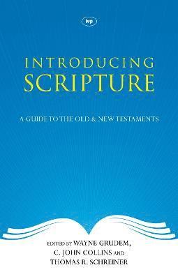 bokomslag Introducing Scripture
