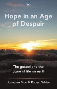bokomslag Hope in an Age of Despair