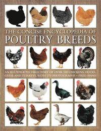 bokomslag Concise Encyclopedia of Poultry Breeds