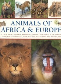 bokomslag Animals Of Africa And Europe
