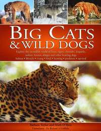 bokomslag Big Cats and Wild Dogs