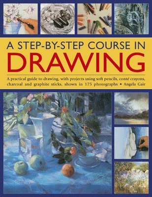 Step-by-step Course in Drawing