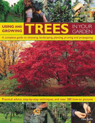 Using and Growing Trees in Your Garden 1